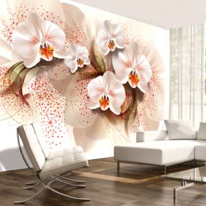 Fototapet Bimago - Pale yellow orchids + Adeziv gratuit 200x140 cm
