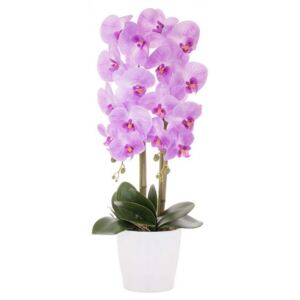 Aranjament Floral Orhidee Artificiala in Ghiveci cu 2 Tulpini, Aspect Natural, inaltime 70 cm, Culoare Violet