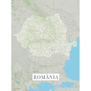 Harta Romania color