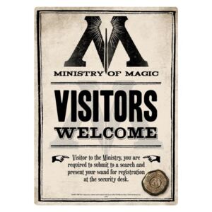 Harry Potter - Ministry Of Magic Placă metalică, (15 x 21 cm)