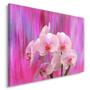 CARO Tablou pe pânză - Orchids 11 50x40 cm