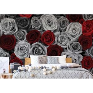 Fototapet - Red Roses Black And White Vliesová tapeta - 254x184 cm