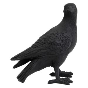 Https://koomood.ro/ornament-bird-negru-mat