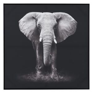 Https://koomood.ro/fotografie-inramata-elefant-negru-alb