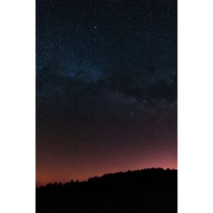 Fotografii artistice Night photos of the Milky Way with stars and trees., Javier Pardina