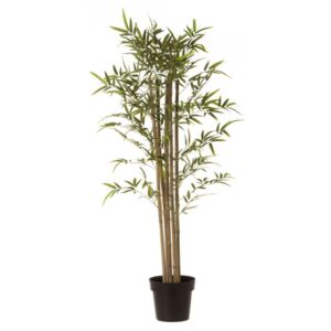 Planta artificiala verde/neagra din poliester si polietilena 120 cm Hardy Tall Unimasa