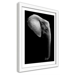 CARO Imagine în cadru - Elephant In Black And White 50x70 cm Alb