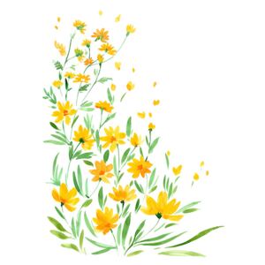 Ilustrare Yellow watercolor wildflowers, Blursbyai