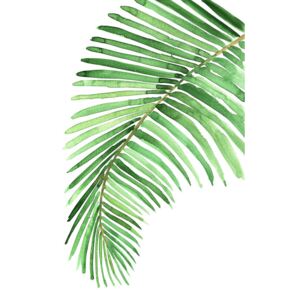 Ilustrare Watercolor palm leaf, Blursbyai