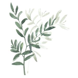 Ilustrare Watercolor laurel branch, Blursbyai
