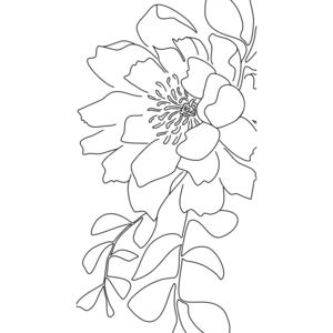 Ilustrare Floral line art, Blursbyai