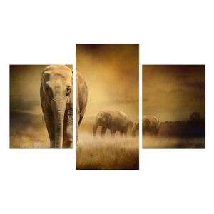 Tablou cu elefant (K011176K90603PCS)