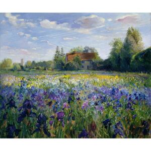 Evening at the Iris Field Reproducere, Timothy Easton