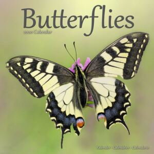 Butterflies Calendar 2020