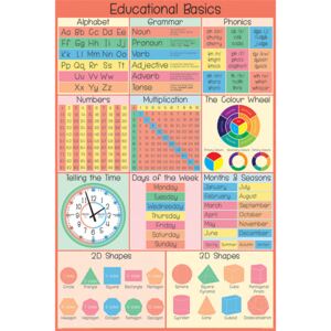 Educational Basics Poster, (61 x 91,5 cm)