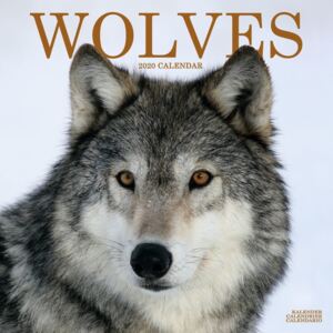Wolves Calendar 2020