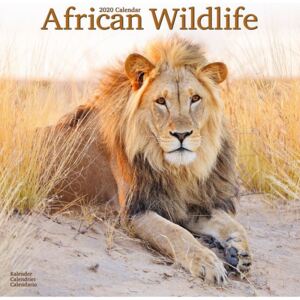 African Wildlife Calendar 2020