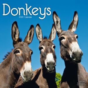 Donkeys Calendar 2020