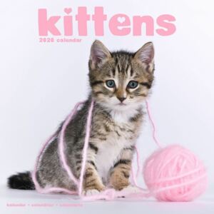 Kittens Calendar 2020