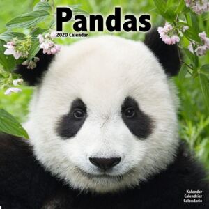 Pandas Calendar 2020