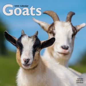 Goats Calendar 2020