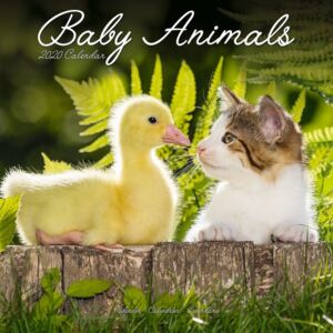 Baby Animals Calendar 2020