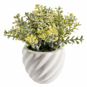 Aranjament flori artificiale ghiveci ceramica verde 8 cm x 8 cm x 14h