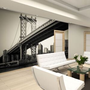 Fototapet - Manhattan Bridge, New York 250x193 cm