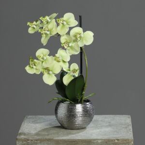 Orhidee artificiala verde-crem in ghiveci ceramic - 30 cm