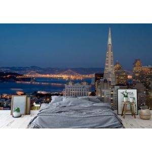 Fototapet - San Francisco City Skyline Vliesová tapeta - 206x275 cm