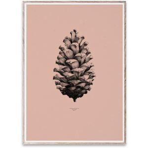 Tablou cu rama stejar 50x70 cm 1:1 Pine Cone (Komodo Pink) Paper Collective
