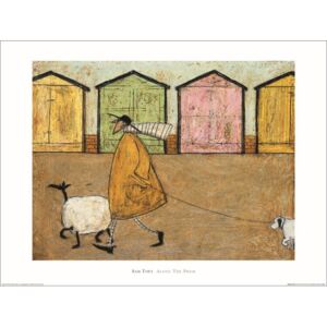 Sam Toft - Along the Prom Reproducere, (60 x 40 cm)