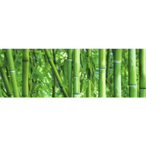 Decor faianta Savona Bamboo 25x75 cm