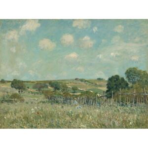 Alfred Sisley - Meadow, 1875 Reproducere