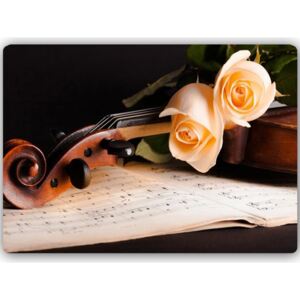 CARO Tablou metalic - Roses On The Violin 40x30 cm