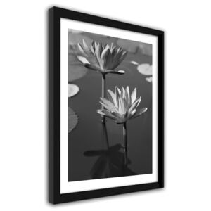 CARO Imagine în cadru - Lilies In A Pond 30x40 cm Negru