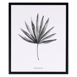 Tablou alb/negru din MDF si polistiren 25x30 cm Palma Somcasa