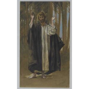 Saint Simon, illustration from 'The Life of Our Lord Jesus Christ' Reproducere, James Jacques Joseph Tissot