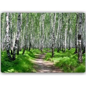 CARO Tablou metalic - Birch Forest 2 40x30 cm