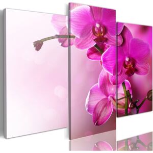 Tablou Bimago - Dark Pink Orchid 120x100