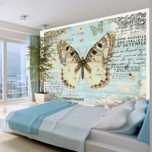 Bimago Fototapet - Postcard with butterfly 100x70 cm