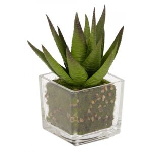 Planta artificiala cu ghiveci din polietilena si sticla 15 cm Hawortia Kave Home