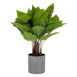 Planta artificiala cu ghiveci din polietilena si ciment 50 cm Anthurium Kave Home