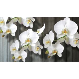 Tablou canvas: Orhidee albe (3) - 75x100 cm
