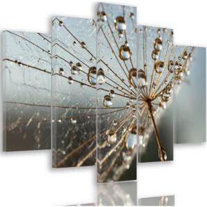 CARO Tablou pe pânză - Drops Of Dew And Spiderweb 100x70 cm