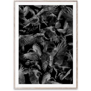 Poster cu rama stejar 50x70 cm Black Crows Paper Collective