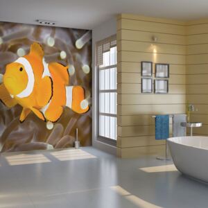 Fototapet Bimago - Finding Nemo + Adeziv gratuit 200x154 cm