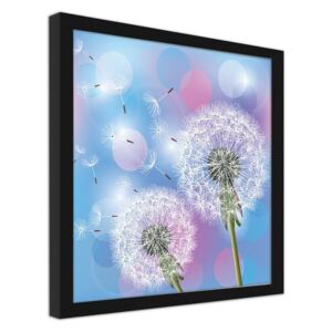 CARO Imagine în cadru - Dandelion On A Blue Background 20x20 cm Negru