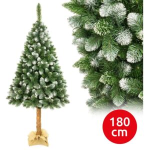 Pom de Crăciun pe trunchi 180 cm pin