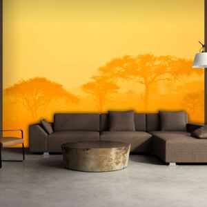 Fototapet Bimago - Orange savanna + Adeziv gratuit 250x193 cm
